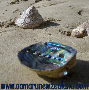 Moeraki Boulders NZ