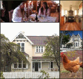 Oamaru Creek Bed and Breakfast